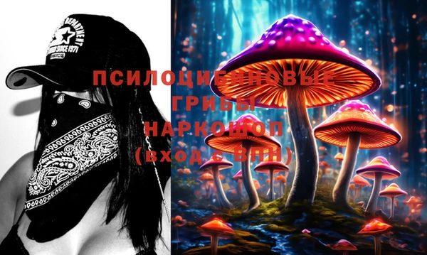 прущие грибы Балахна