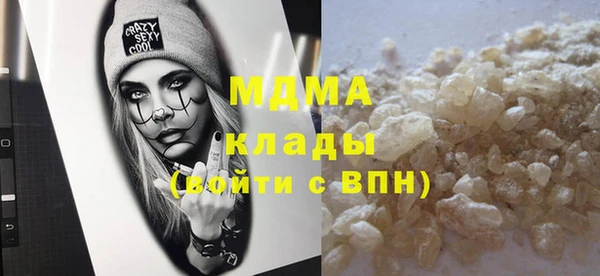 прущие грибы Тайга