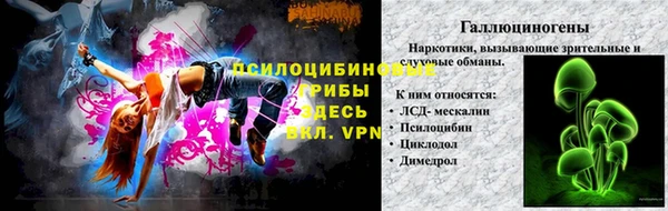 кокс Белокуриха